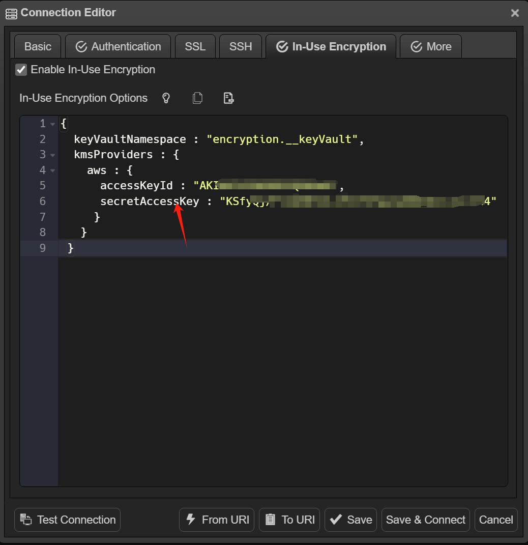 In-use encryption tab